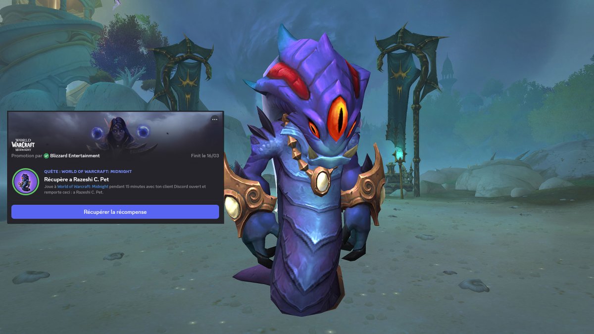 BlizzSpirit tweet media