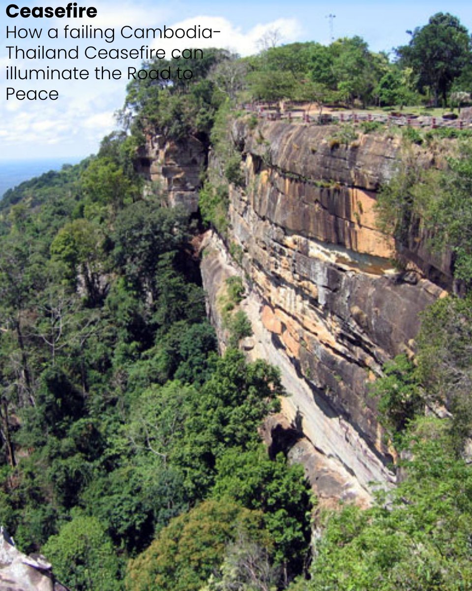 Peace News Network tweet media