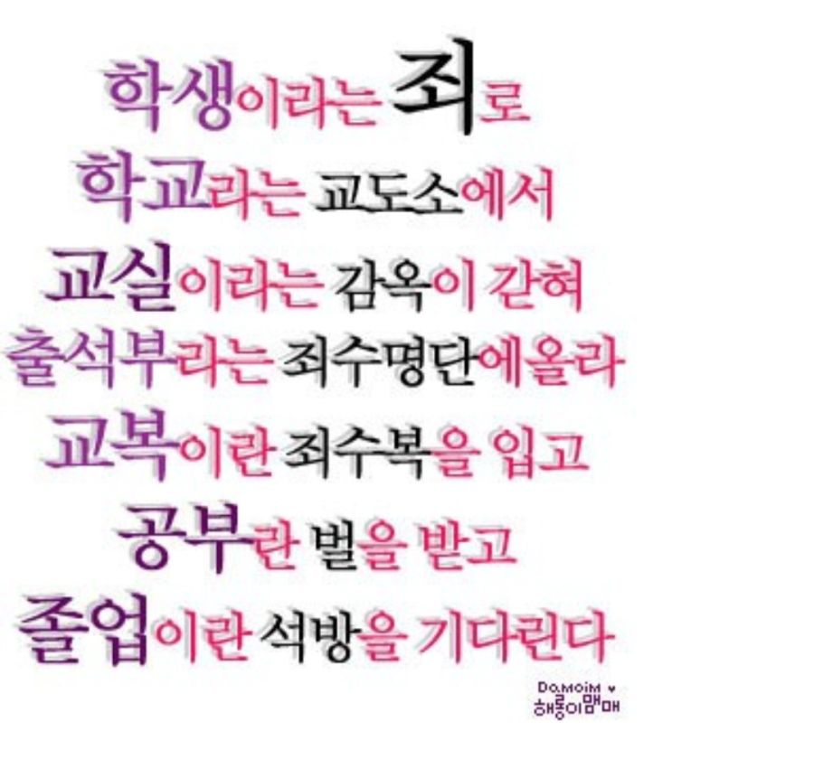 인터넷 밈 해명봇 tweet media