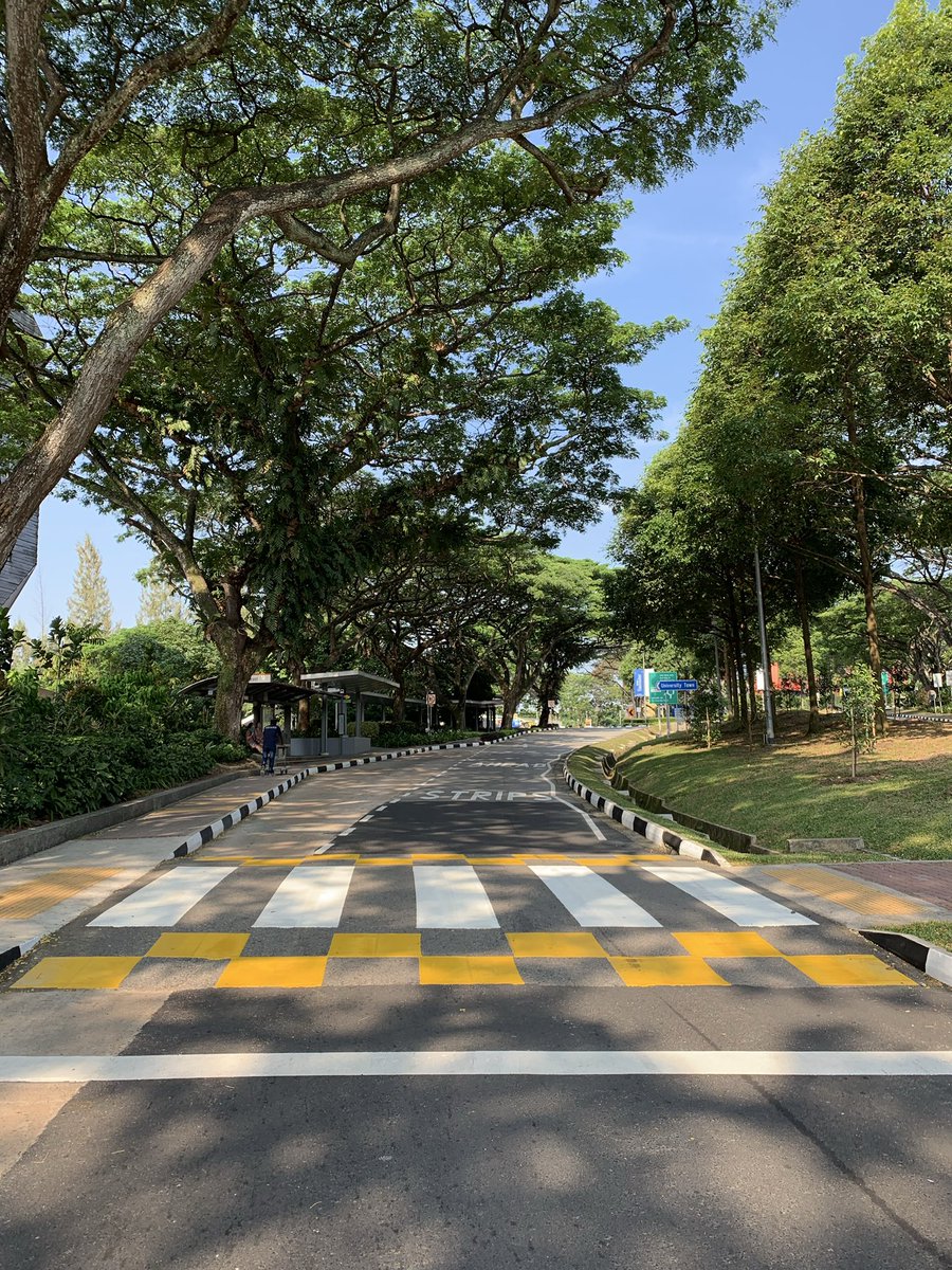 ที่สิงคโปร์ร้อนกว่าไทยด้วยซ้ำแต่ต้นไม้ใหญ่ที่อยู่ตามถนนช่วยได้เยอะมากจริงๆ เป็นทั้งร่มเงาแถมทำให้บรรยากาศน่าเดินมากขึ้นอีกกก🌳✨