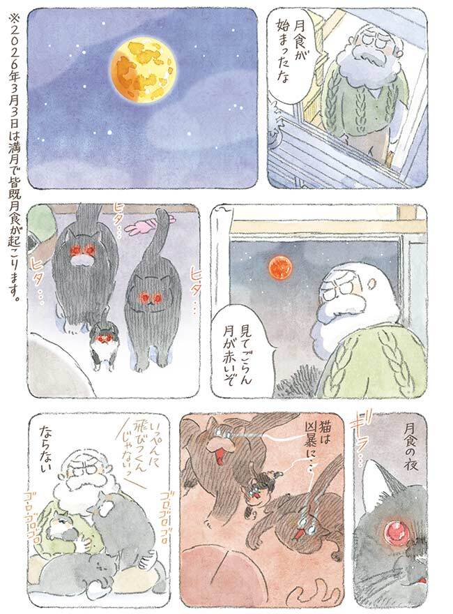 ねこまき倉庫 (@nyanta_mikan) / Posts / X