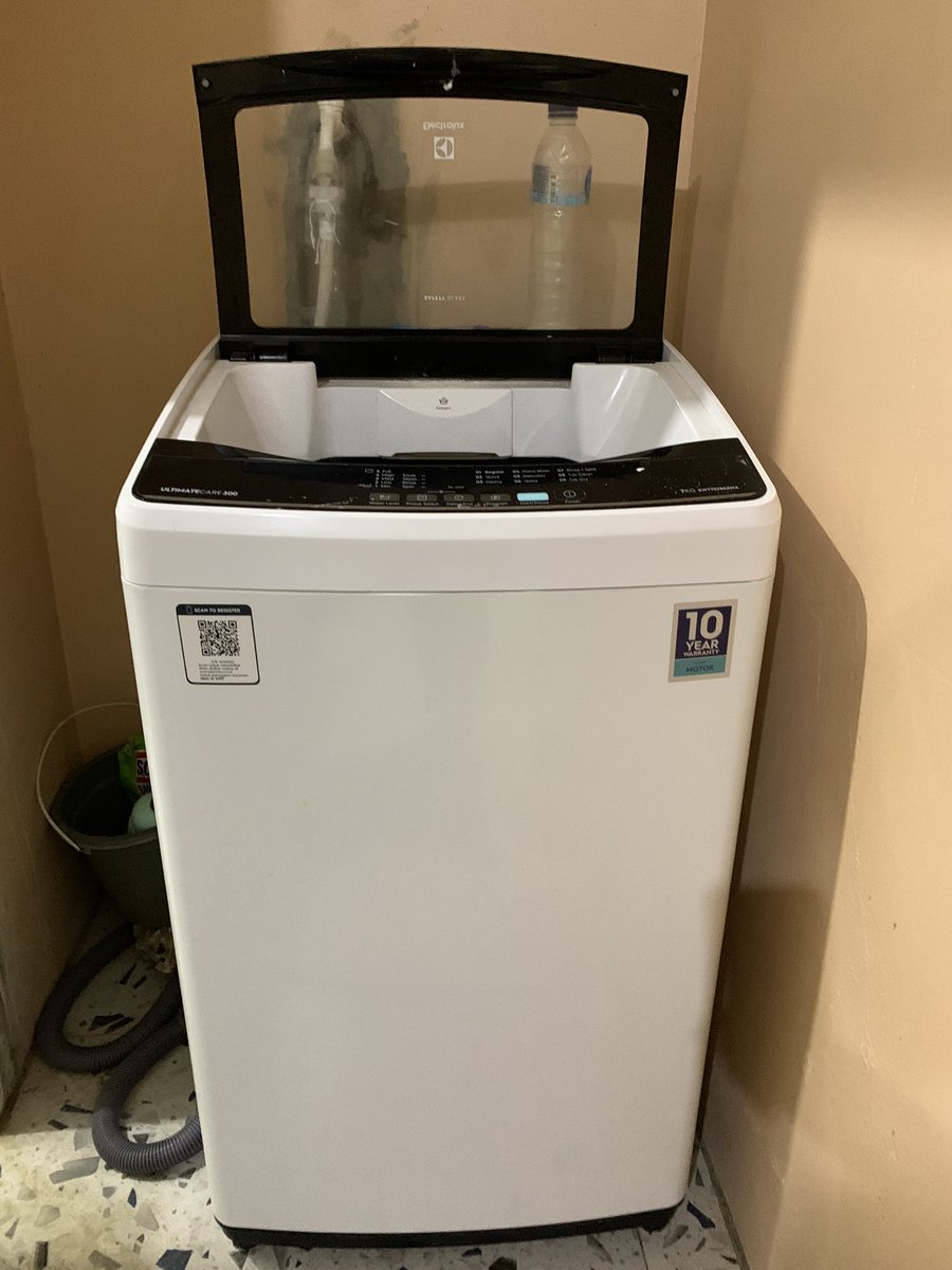 sunflower tweet media