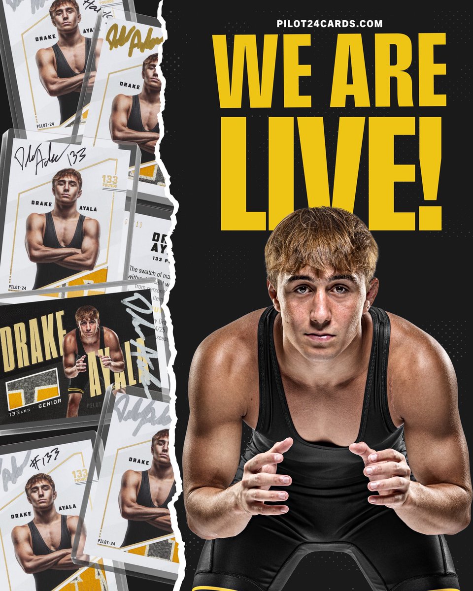 Pilot 24 tweet media