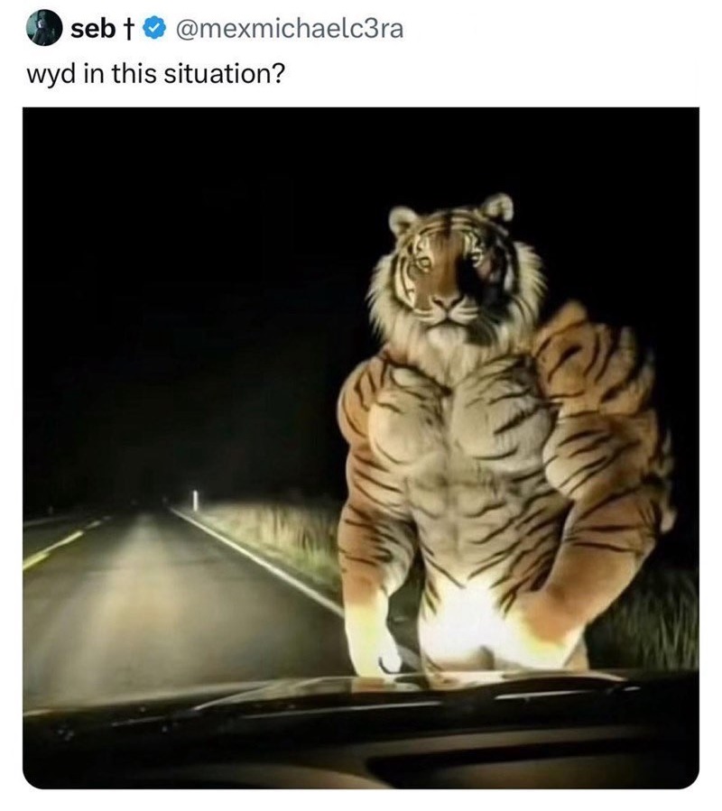 Spill The Memes tweet media