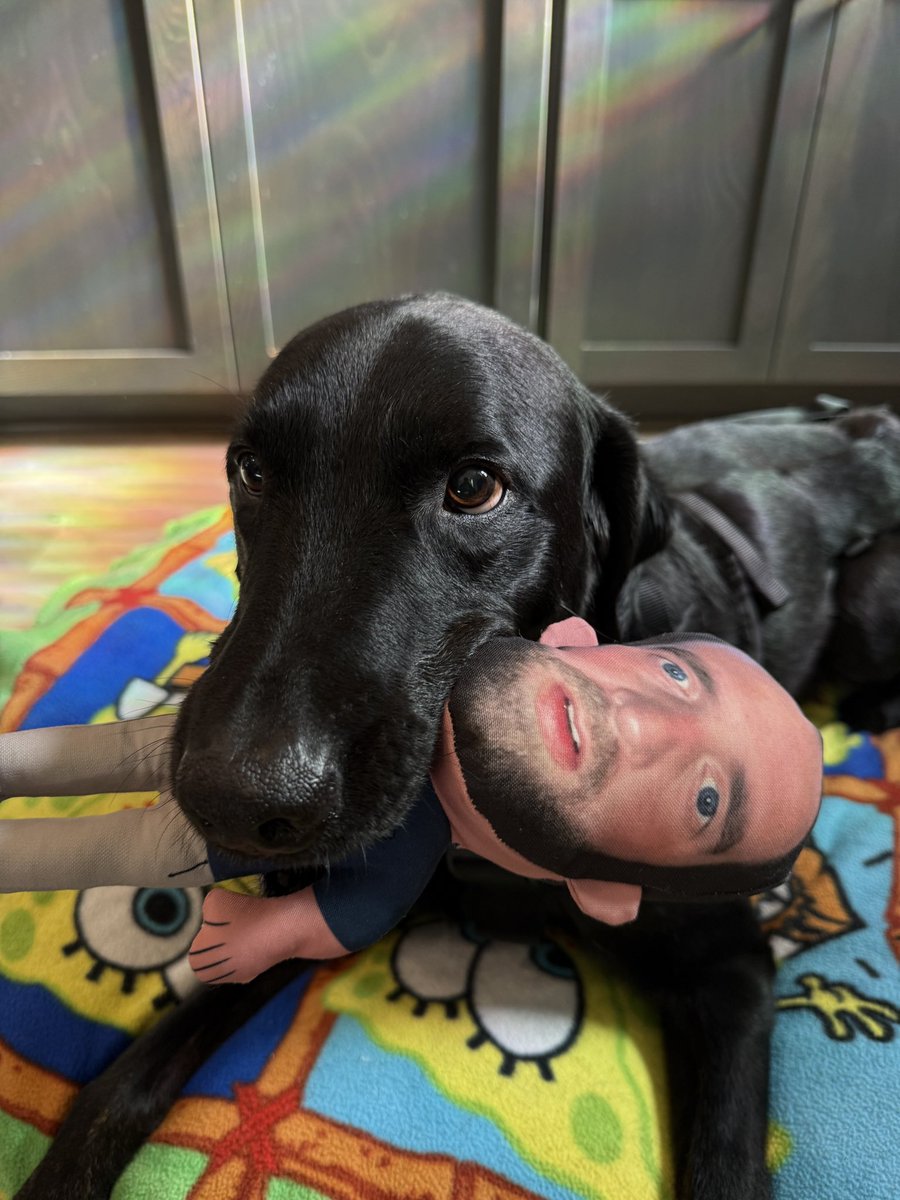 Dangerr_d tweet media