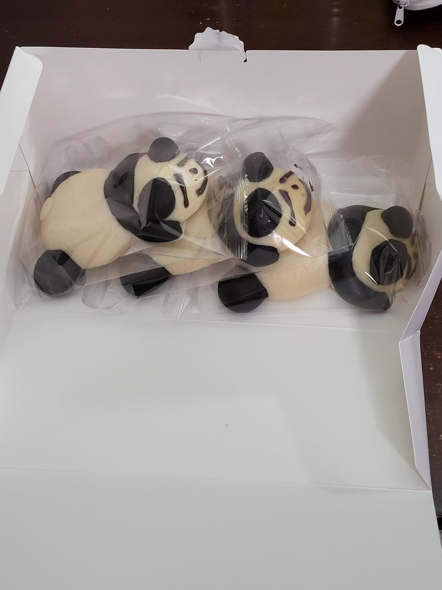 パンダさん（パン）が来ましたー！