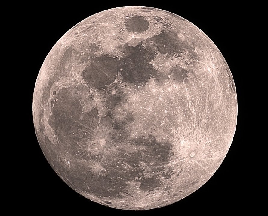 Daniel Harbin tweet media