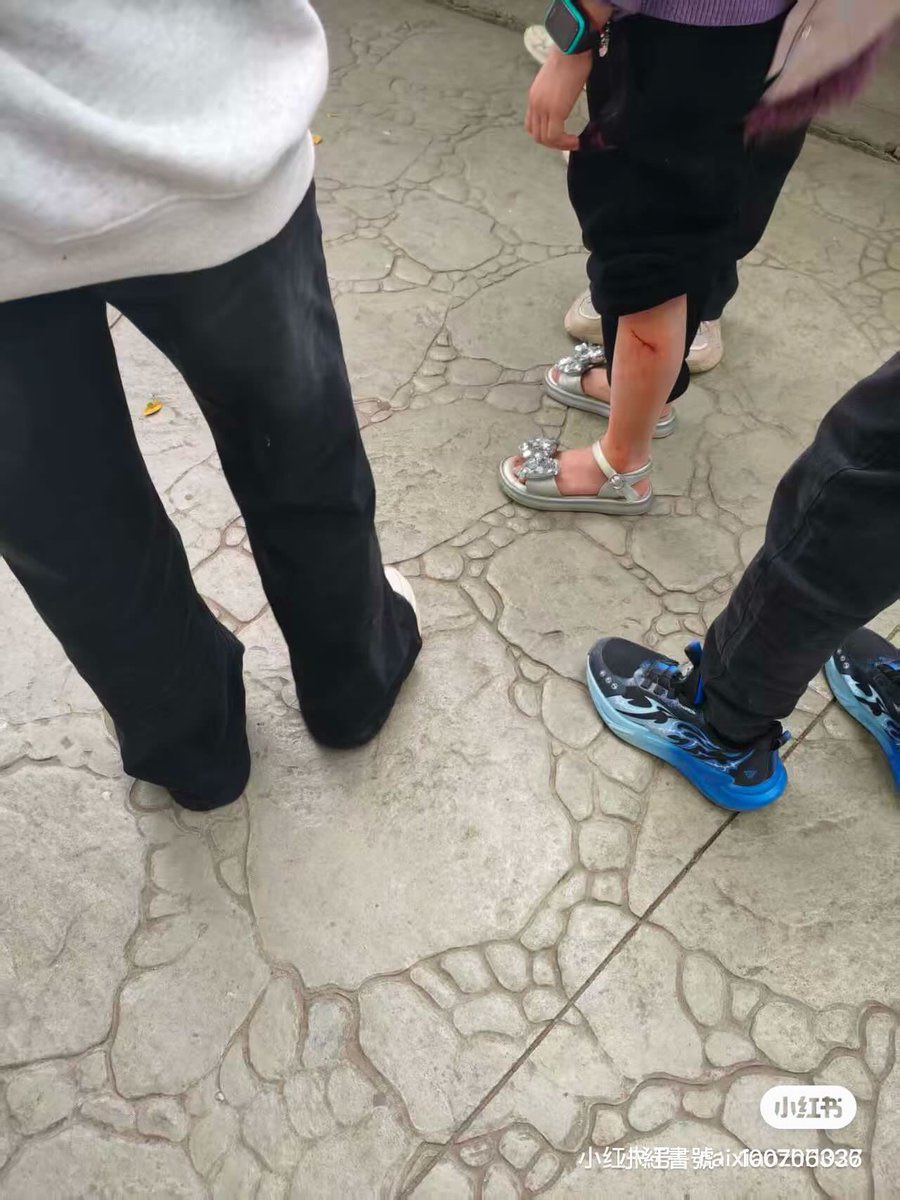 Alertas 24 tweet media