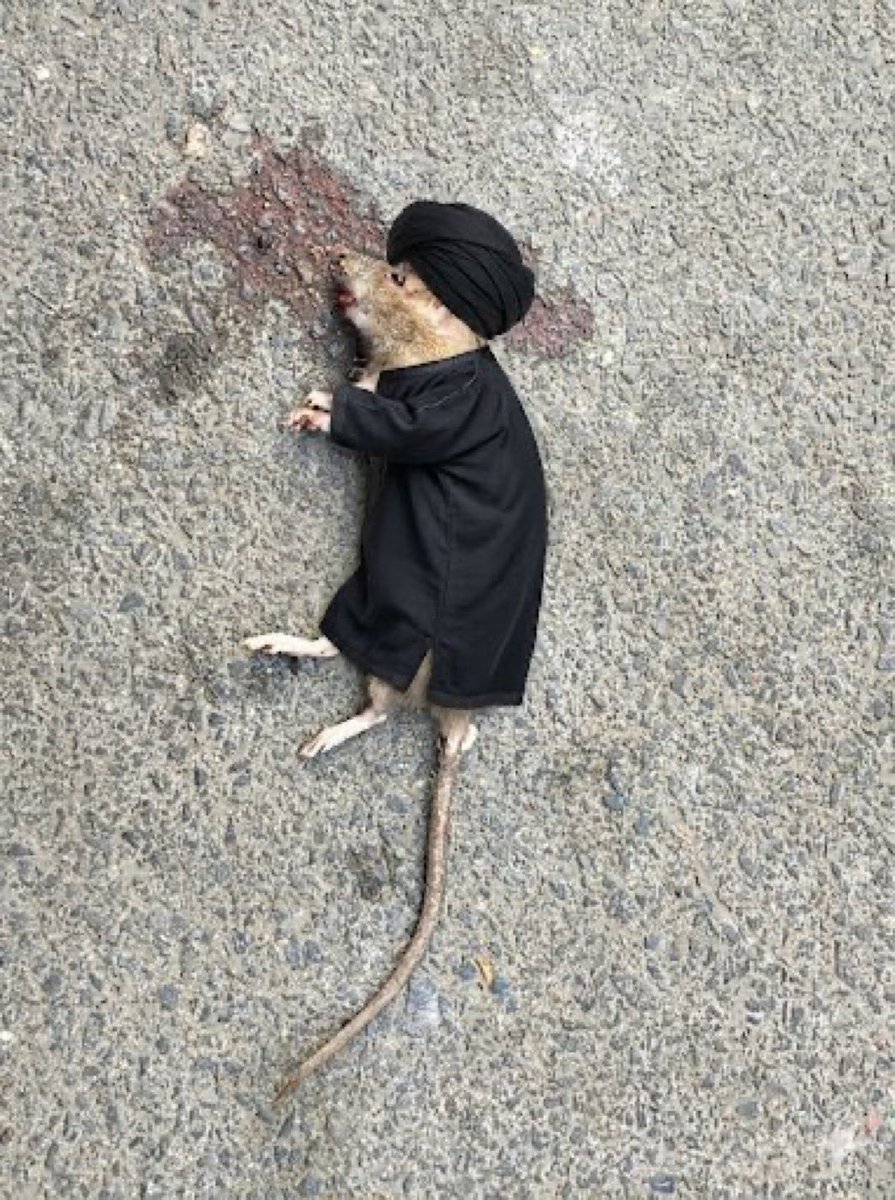 غ 🤍🤍 tweet media