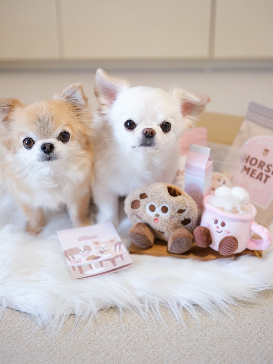 Doggy Box(ドギーボックス) (@doggybox_jp) / Posts / X