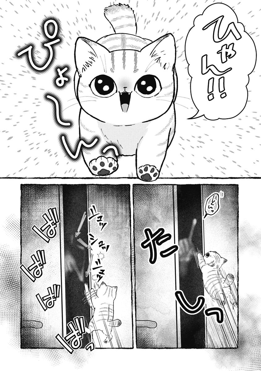 事故物件で猫を飼う話 (※猫は元気)

1/3 