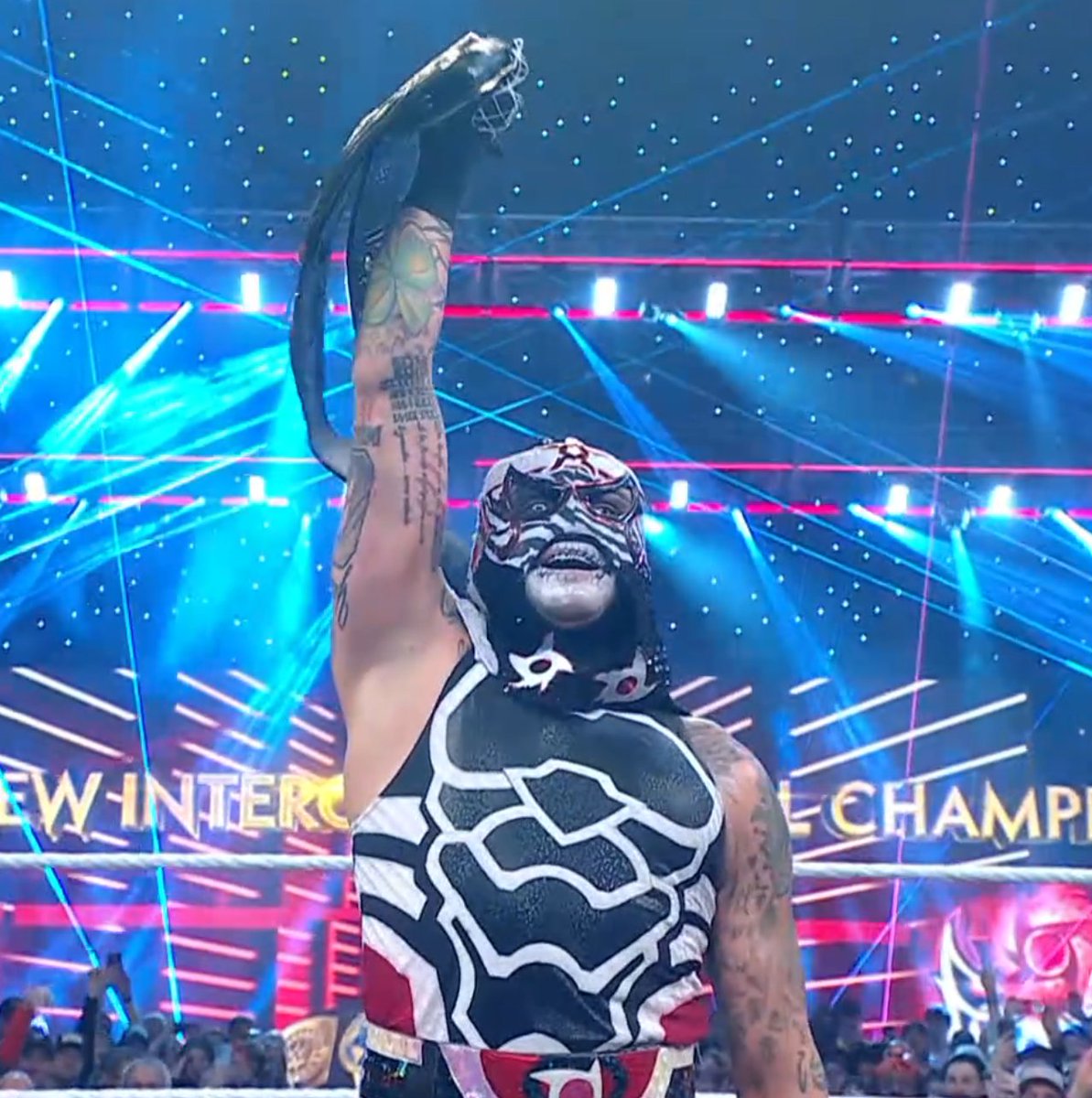 V. ✨♥️♥️🕷️🐝 tweet media