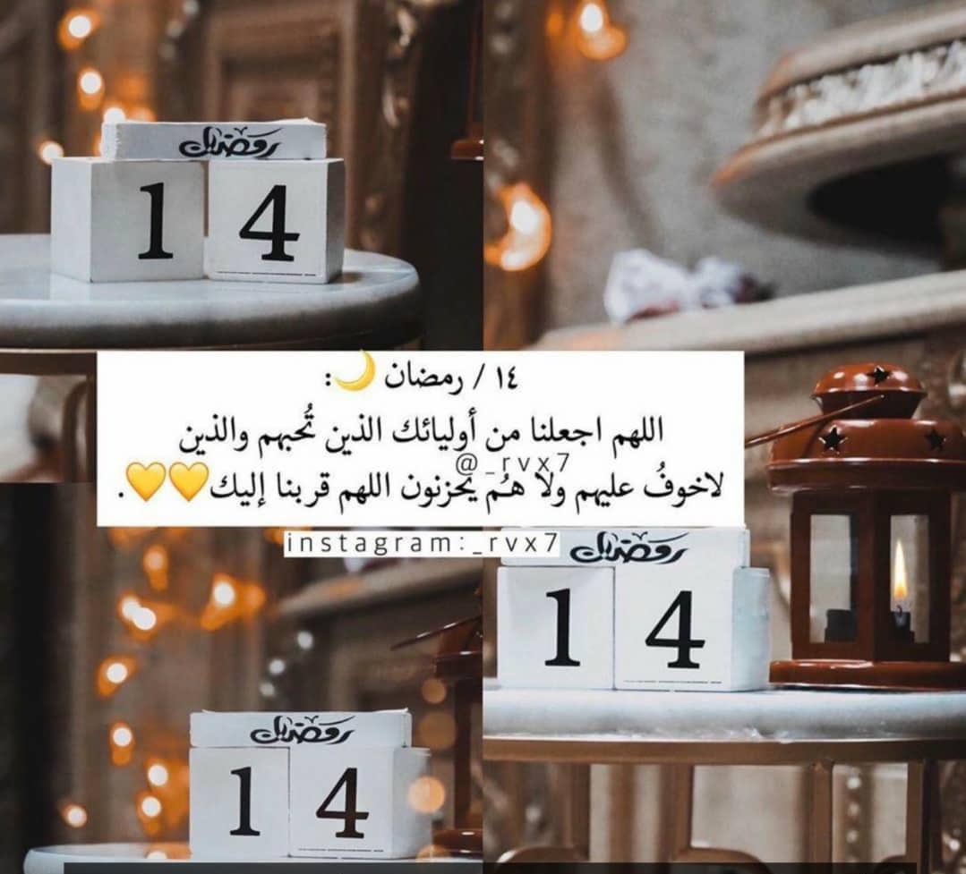 أبوخالد -ع- القشعمي tweet media