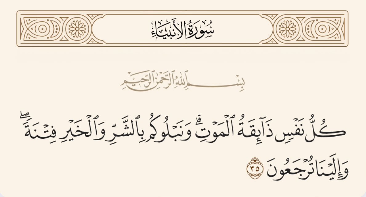 يزيد السميري tweet media