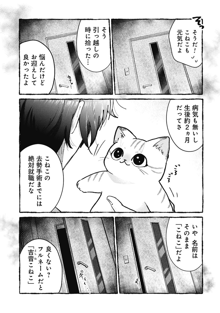 事故物件で猫を飼う話(※猫は元気)

2/3 