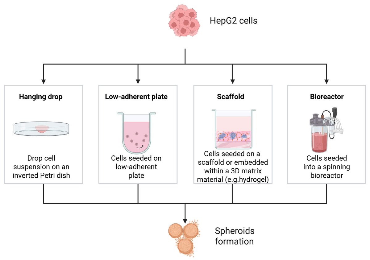 Frontiers in Bioscience-Landmark tweet media