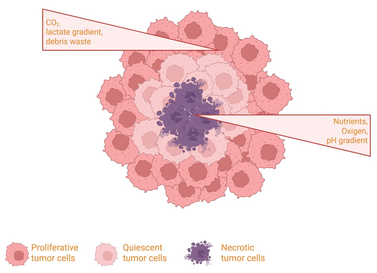 Frontiers in Bioscience-Landmark tweet media
