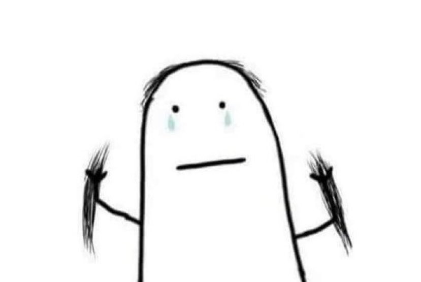 ʕ •ᴥ• ʔ tweet media