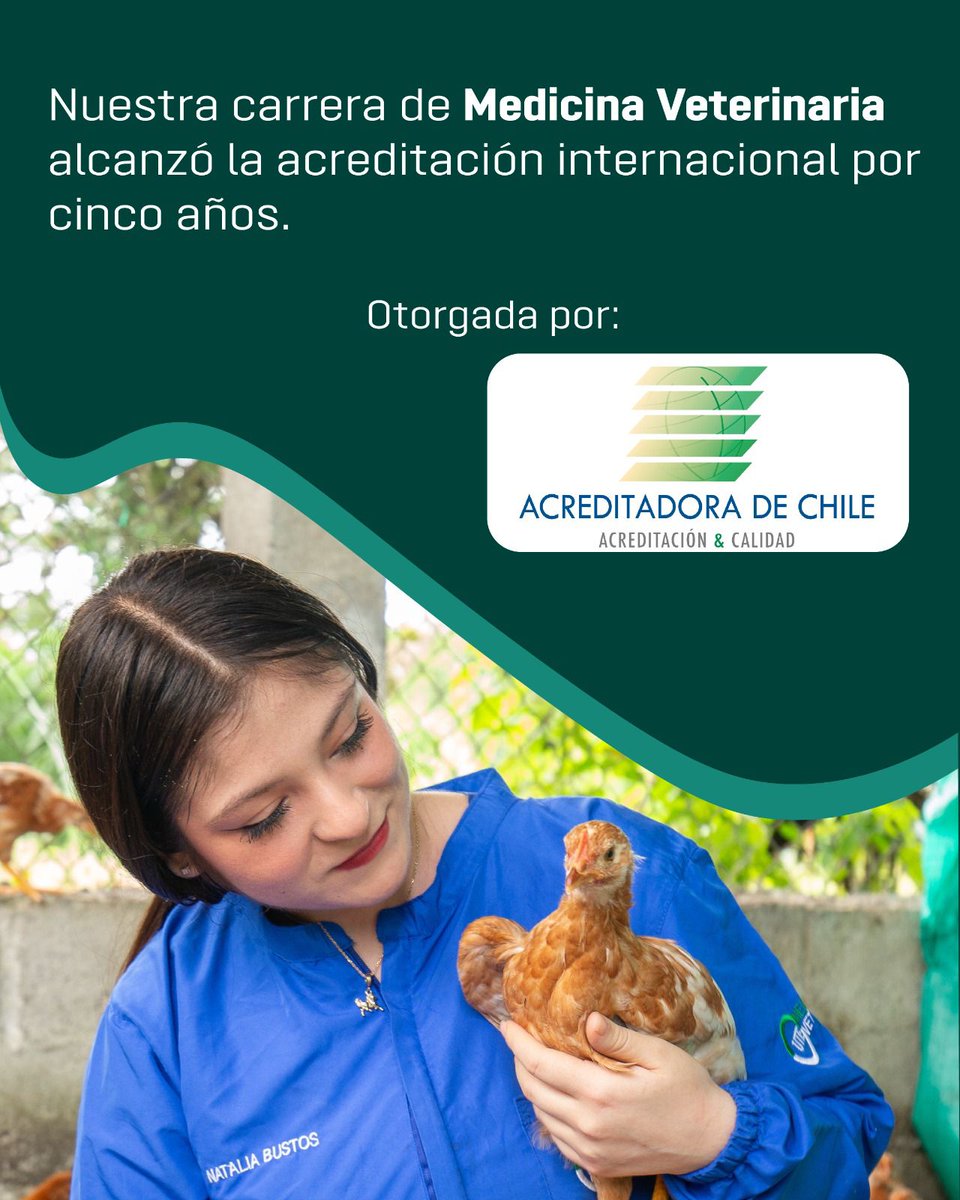 Fernando Ayala tweet media