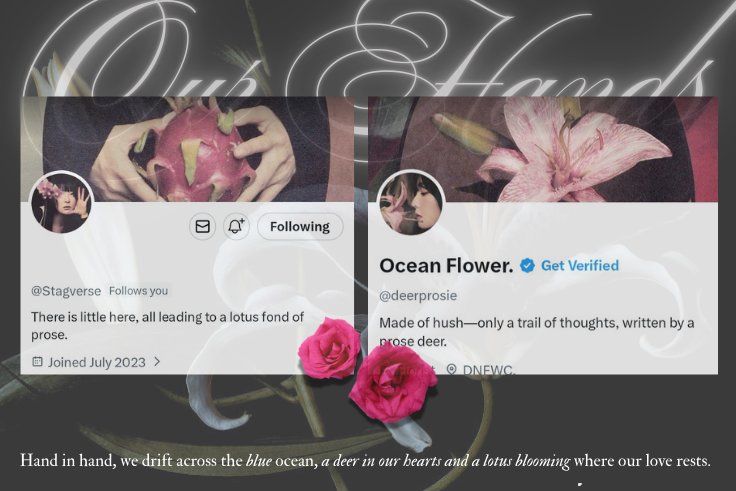 Ocean Flower. tweet media