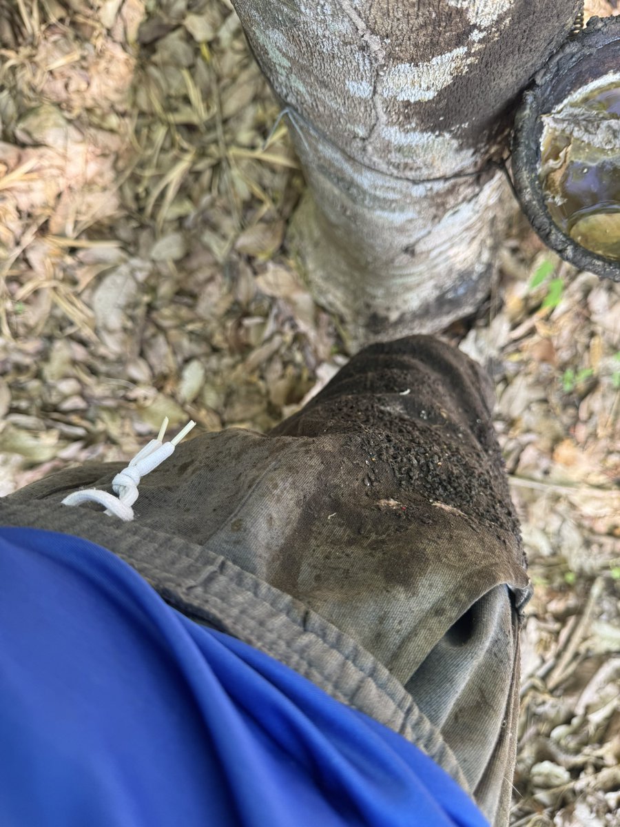 มุมมืด tweet media