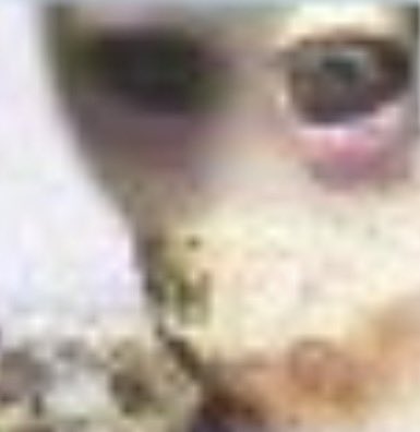 Jon Stewart tweet media