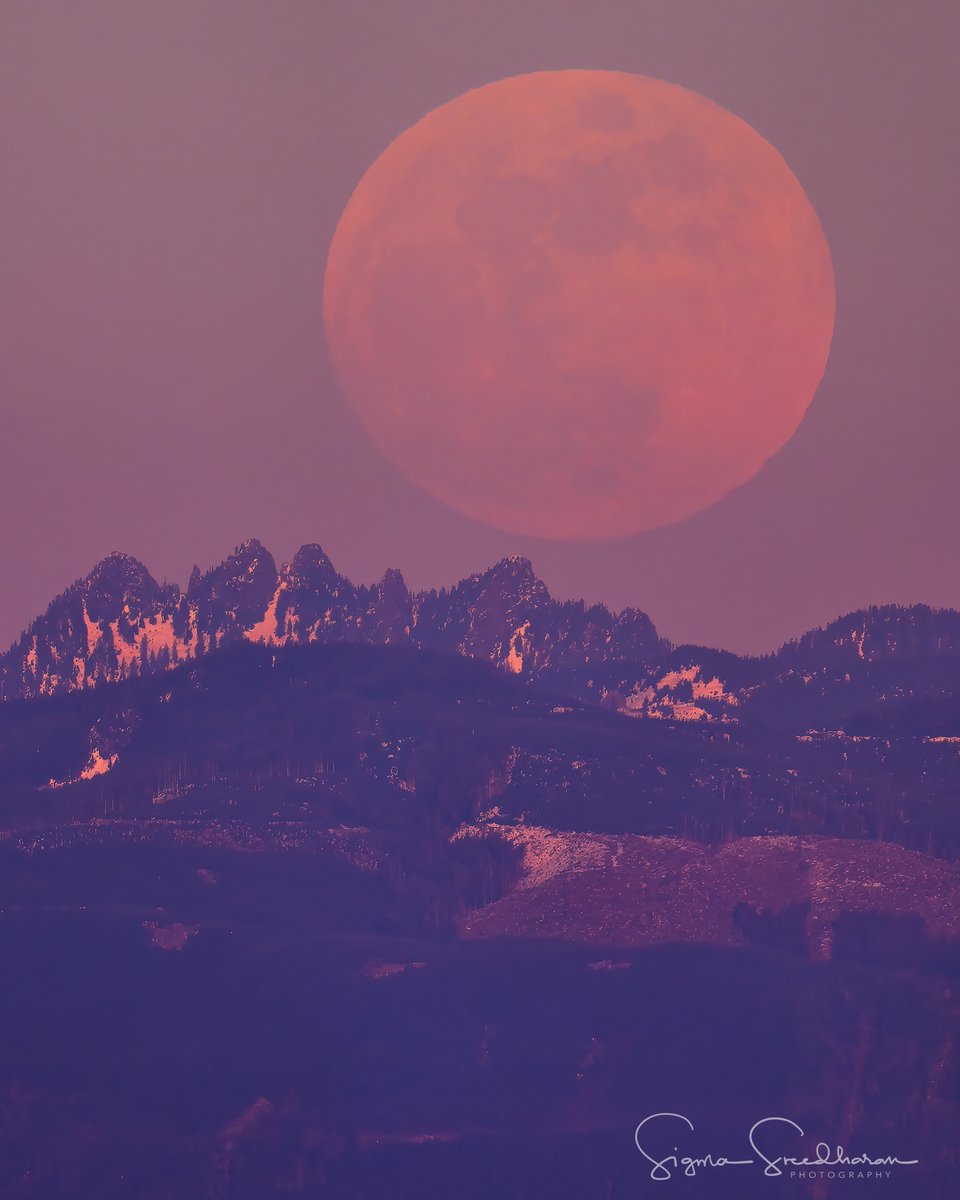 sigmas's tweet photo. Full #Wormmoon rising in #Seattle tonight... https://t.co/ef0JkBvGbt
