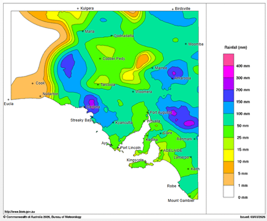 Market Check tweet media