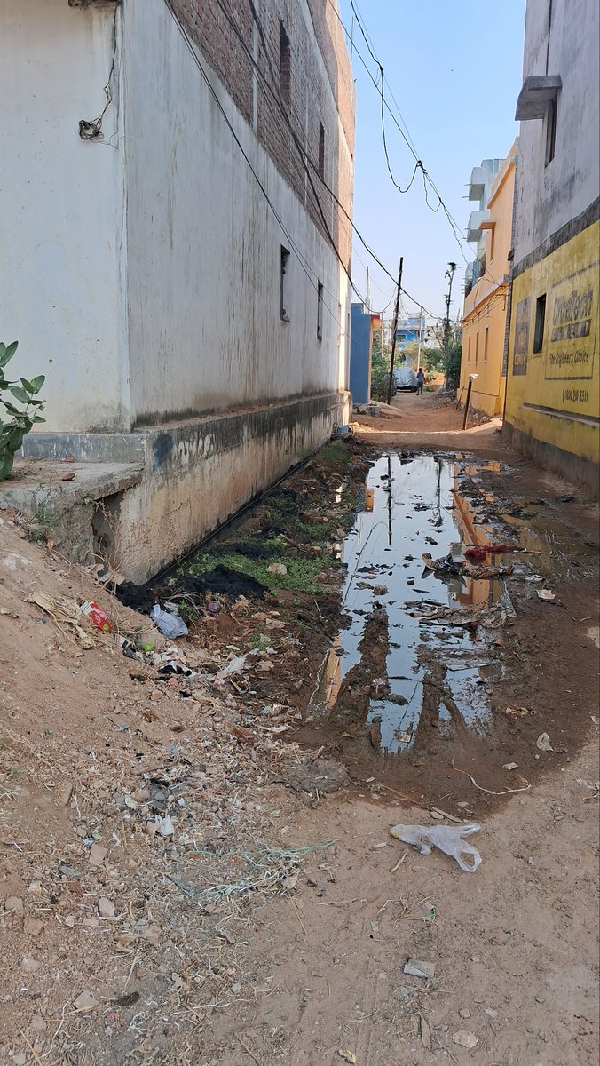 DeepakGanjam's tweet photo. After request , Nobody of the street #(Janakinagar, Konisi Hata, Sihala Road ) Joins hand for cleanliness.
Admin. Pls help by constructing a drain passage 🙏
@tdrkanisi @Ganjam_Admin @Sarapanch_Konisi @highlight https://t.co/6YDeyPFCy8