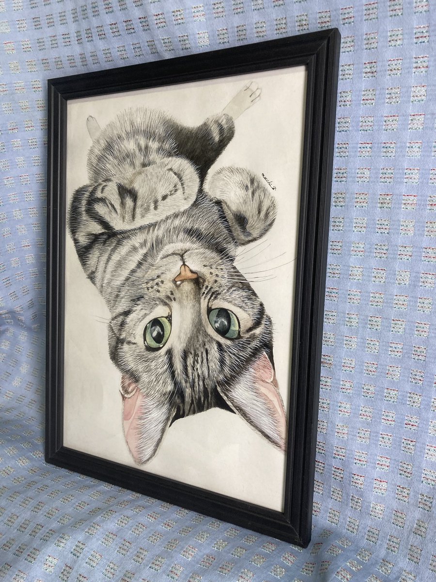 もっち（mocchi） (@mocchimocchi09) / Posts / X