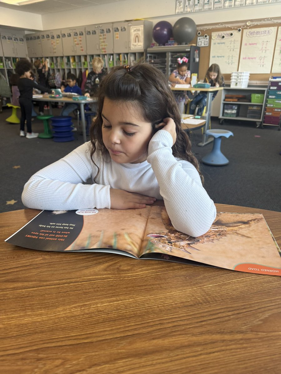 Berman Firsties tweet media