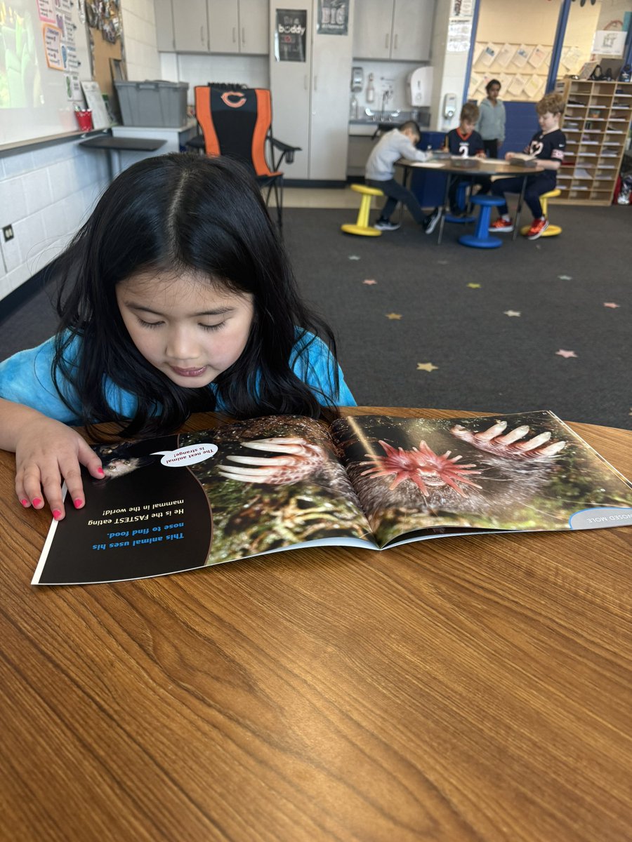 Berman Firsties tweet media