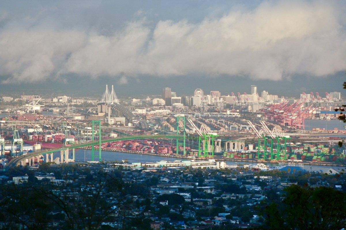 Nico Wells ⛰️ tweet media