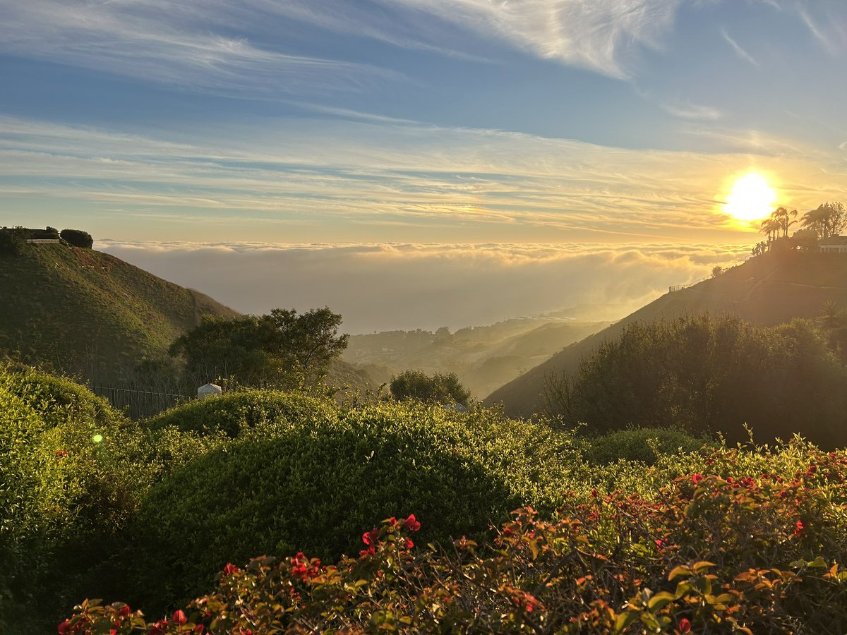 Nico Wells ⛰️ tweet media