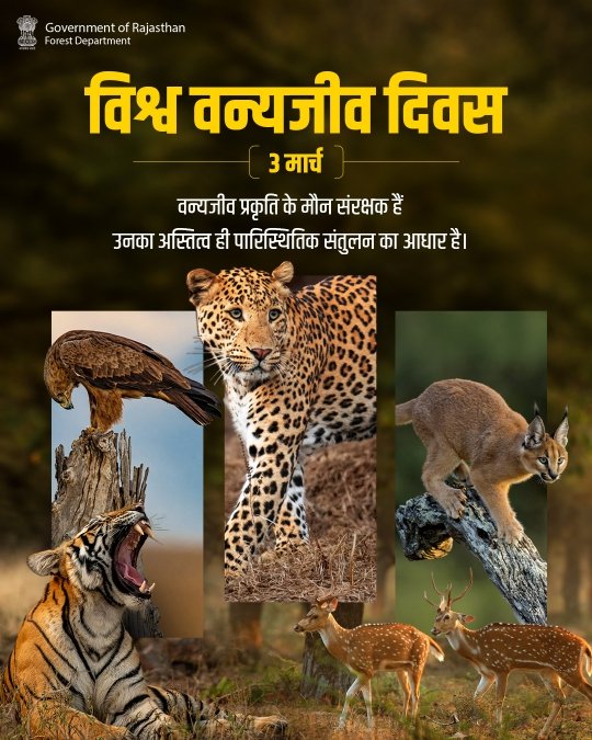 ForestRajasthan's tweet image. विश्व वन्यजीव दिवस 

आइए, इस अवसर पर प्रकृति और वन्यजीवों के संरक्षण का संकल्प लें तथा जैव विविधता को सुरक्षित रखने में अपनी सक्रिय भूमिका निभाएँ। 

प्रकृति के साथ संतुलन ही सुरक्षित और समृद्ध भविष्य की कुंजी है।

#WorldWildlifeDay #WildlifeConservation #Biodiversity
