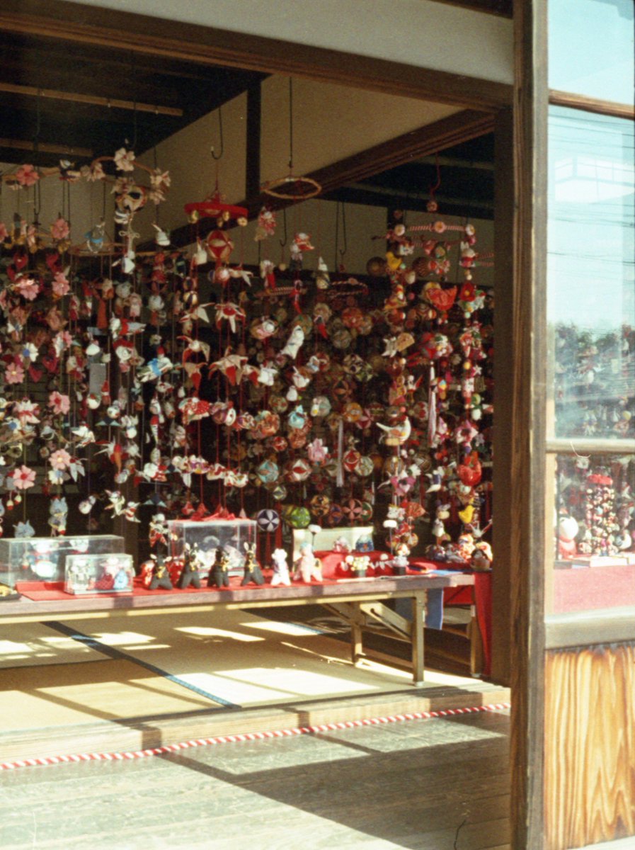syashin_rensyuu's tweet photo. ひな祭り 3月上旬
Olympus PEN D3
Lucky Color 200
マリックスC-41
38℃ 3:30
#OLYMPUS
#PenD3
#LuckyFilm
#Marix
#自家現像 https://t.co/M9QFjcDXI5