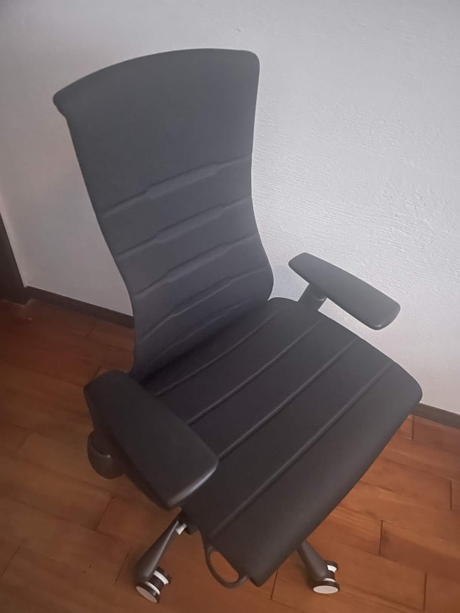 ZETA Absol tweet media