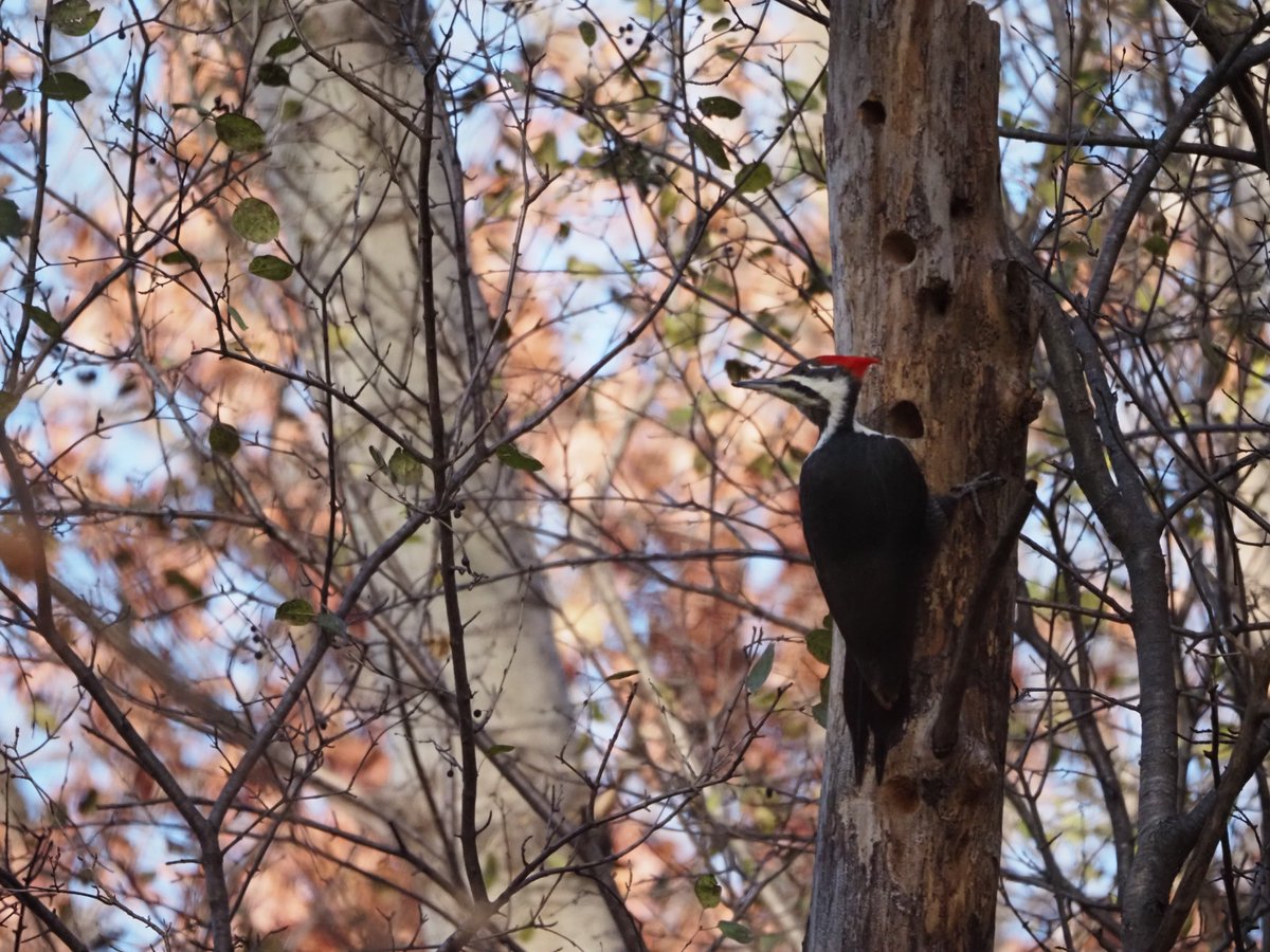 mostlytired tweet media