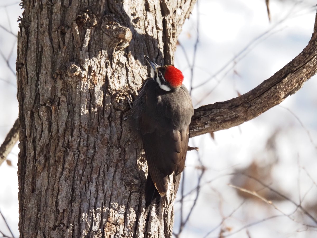 mostlytired tweet media