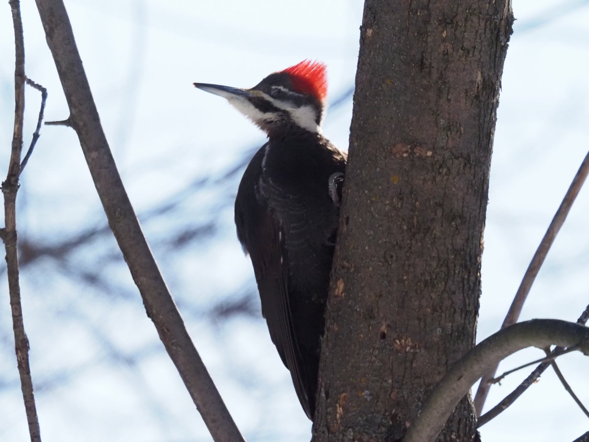 mostlytired tweet media