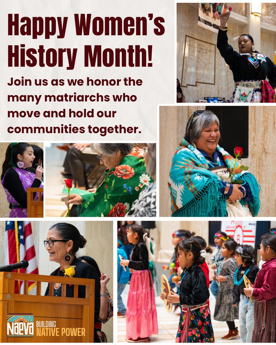 NM Native Vote tweet media