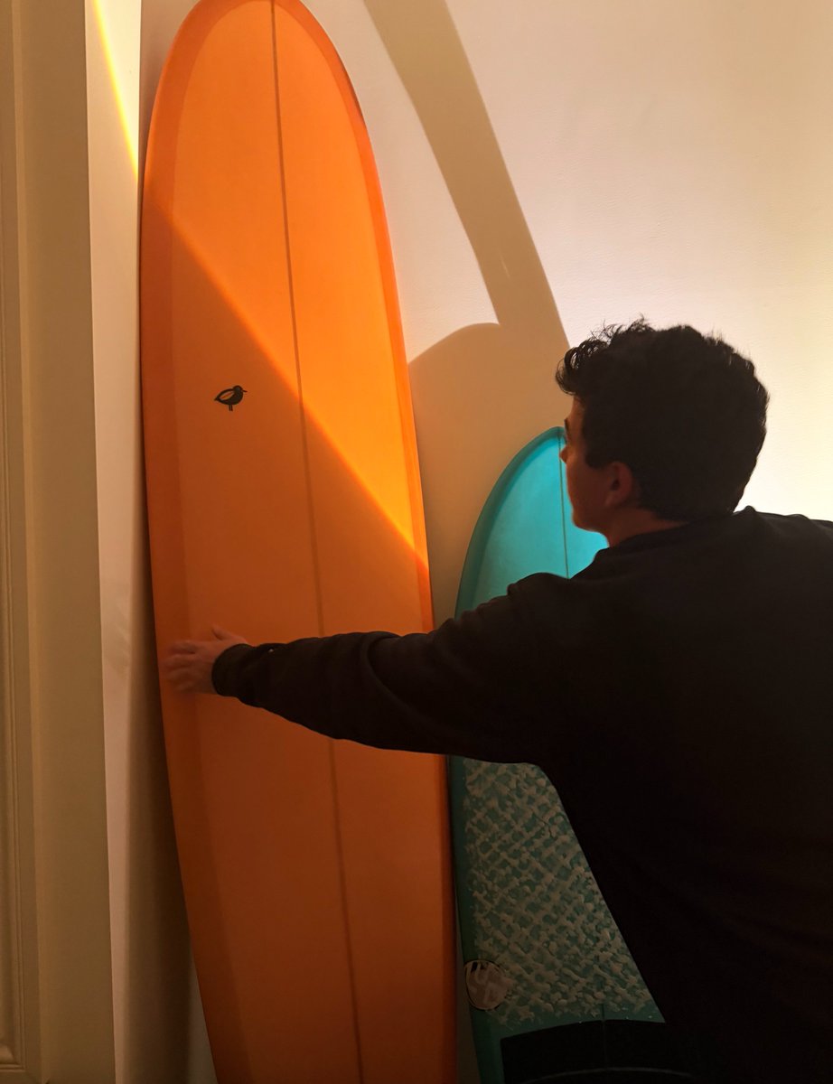 Ally Bell tweet media