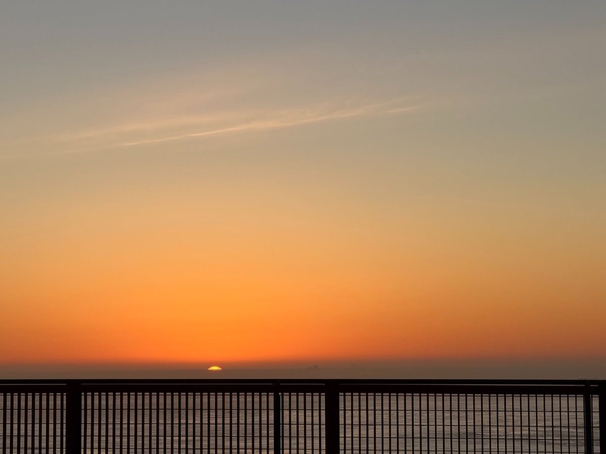 Ally Bell tweet media