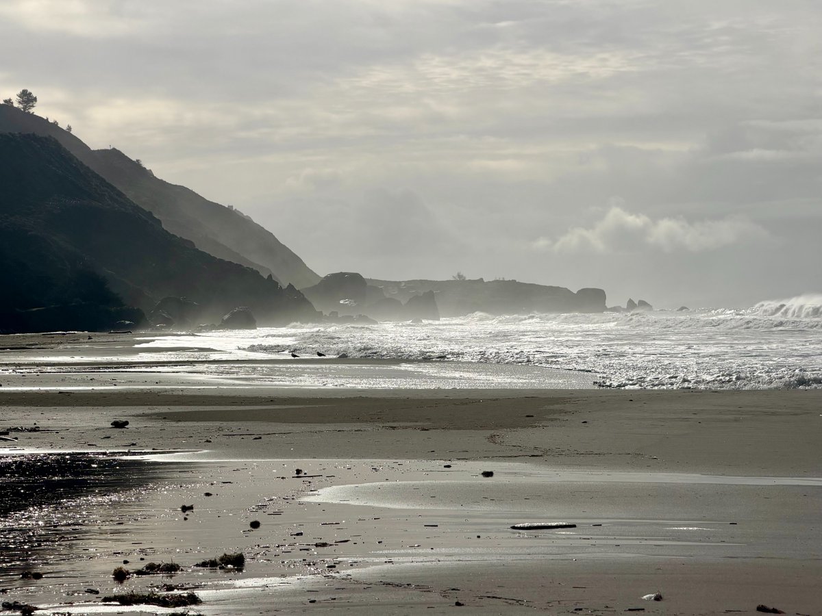 Ally Bell tweet media