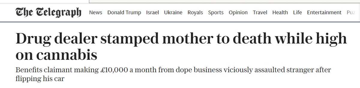 Alex Berenson tweet media