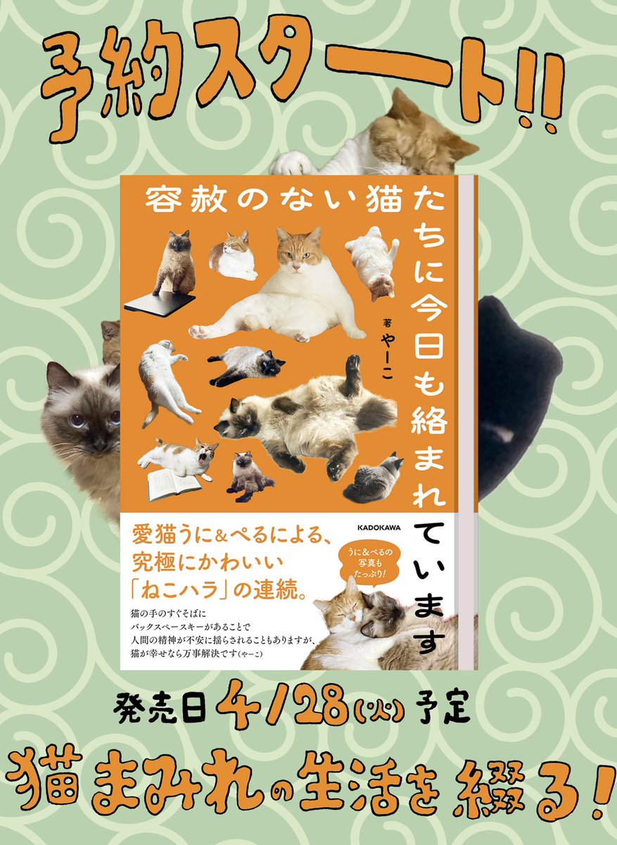 やーこ tweet media