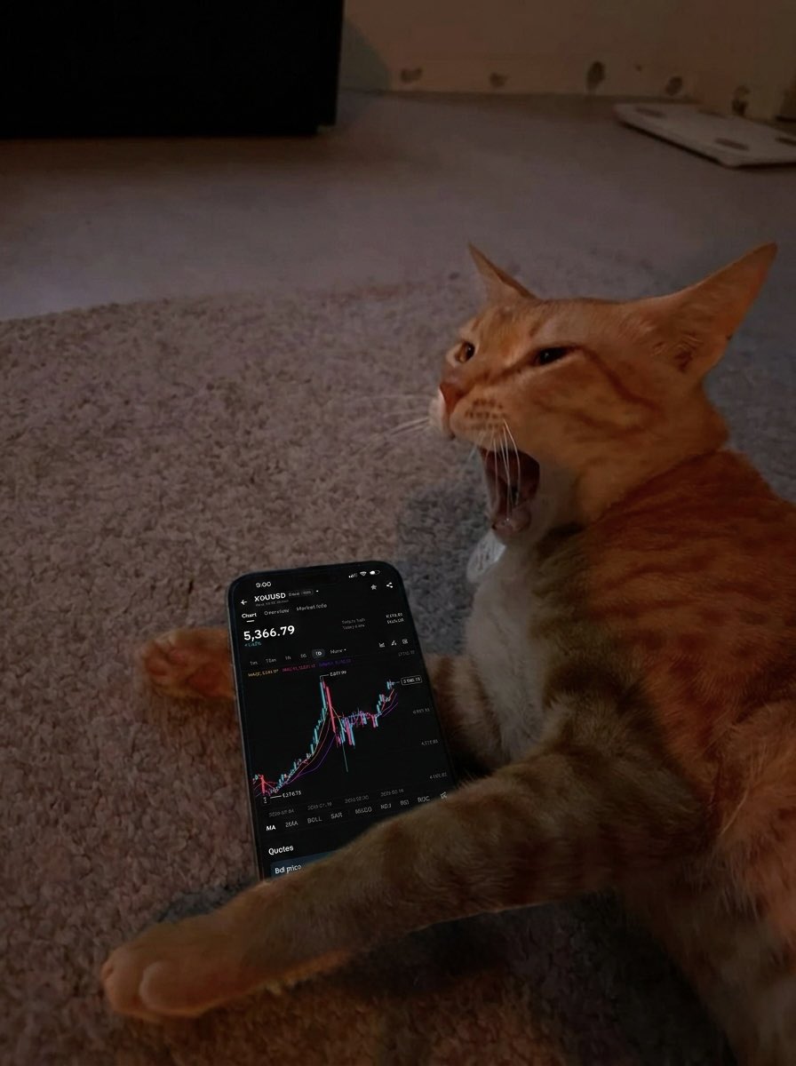 GM!

No alarm needed.

XAUUSD volatility woke me up 📈
Trading gold on Bitget TradFi.

#BitgetTradFi