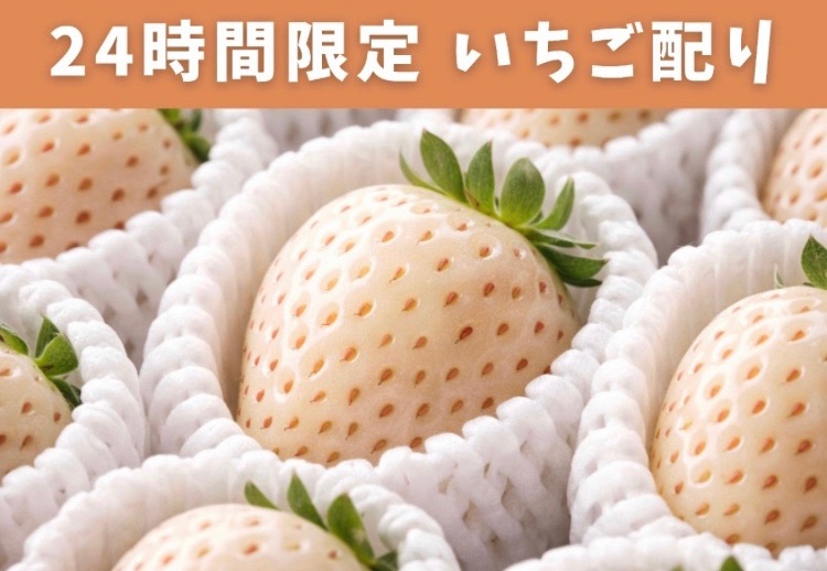 まごころ苺園 公式 tweet media
