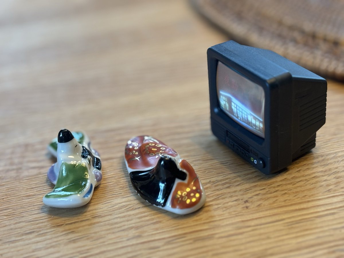 ことり🐧 tweet media