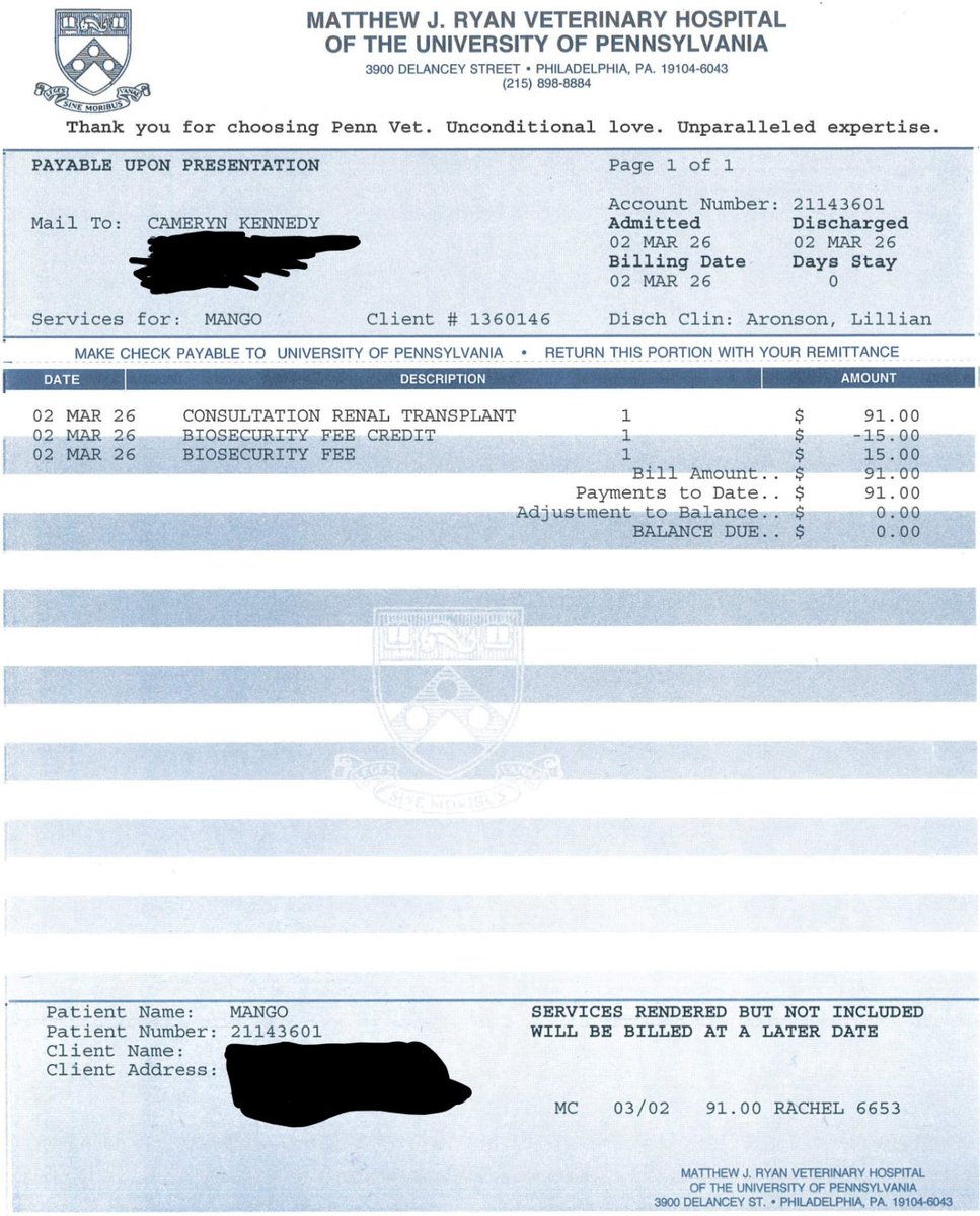 dovethedivine's tweet photo. Today we scheduled & paid for our consult with UPenn.
We also completed some pre-op testing!:
- IV & SQ fluids
- B12 Injection
- Urinalysis & UPC/r
- Chem 10 & T4 Bloodwork
Please share & donate to help us reach our next milestone of $2400!#SaveMango❤️
https://t.co/7LxreYLmkH https://t.co/kspLWcFq5c